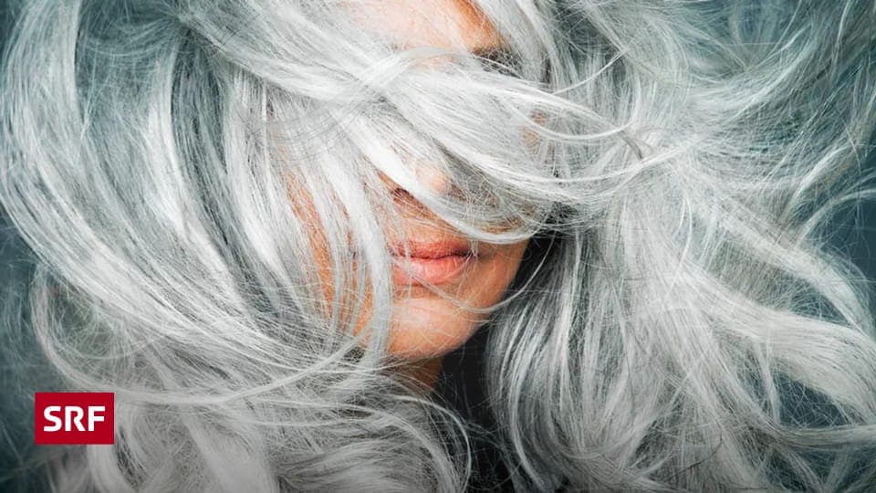 Kulturtrends 2025: Gesellschaftswandel im Spiegel der Zeit